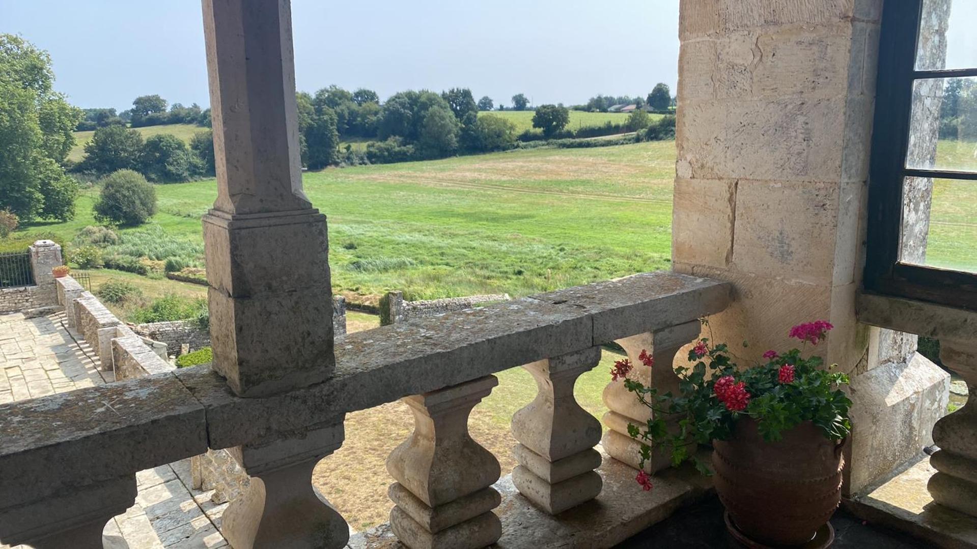 Chateau De Cibioux Surin  Eksteriør bilde