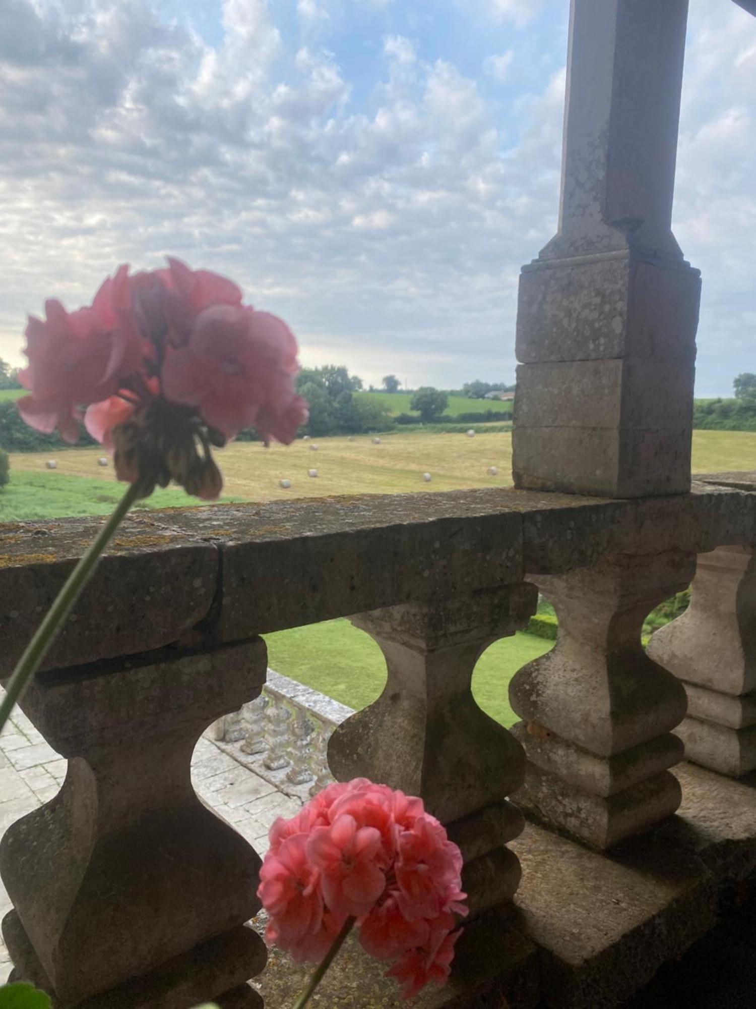 Chateau De Cibioux Surin  Eksteriør bilde